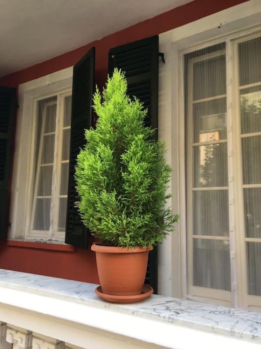 At Home 128 : Little Garden In The City Turin Bagian luar foto