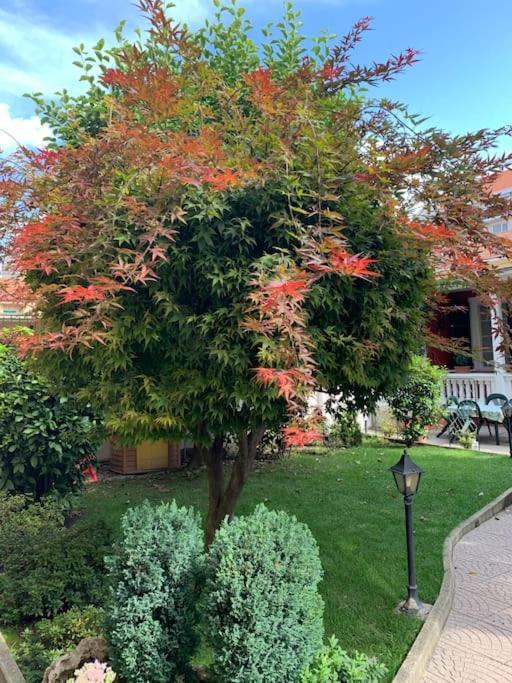 At Home 128 : Little Garden In The City Turin Bagian luar foto